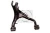 LANDROVER RGG500293 Track Control Arm
